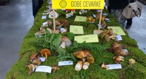 GOBARSKA RAZSTAVA - Foto- Tine Šubic_00